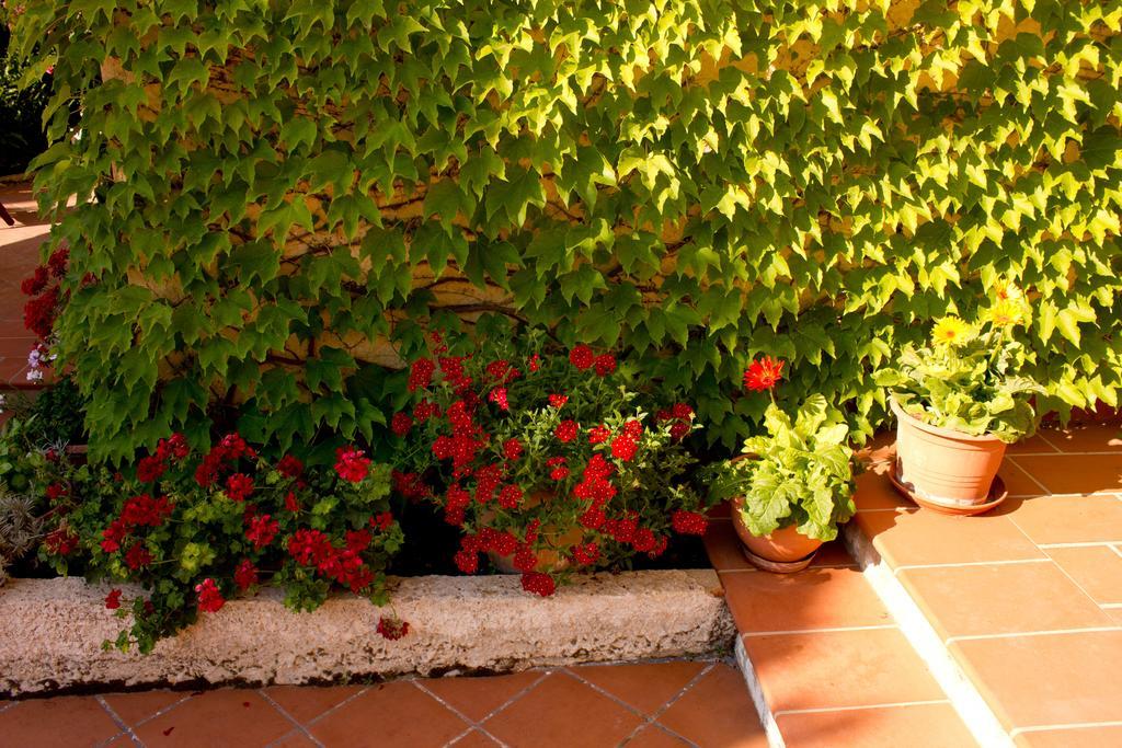 Casa Del Falso Pepe - Scala Dei Turchi Realmonte Exterior photo